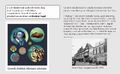 Thumbnail for version as of 11:29, 3 August 2026